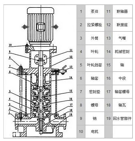 DL立式多級增壓泵的結構圖